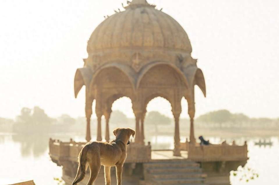 Bond Market Poised for Balance in 2025